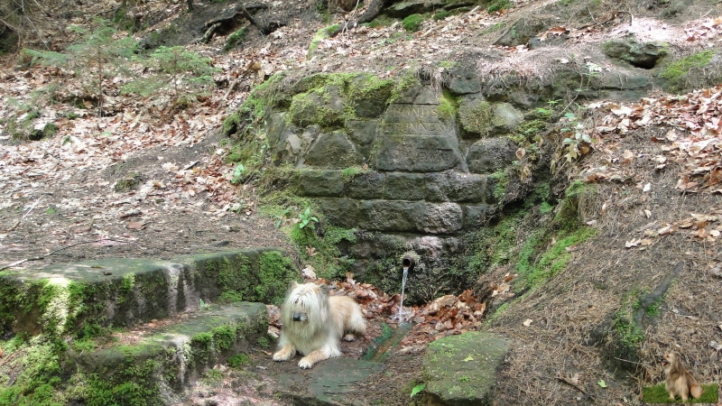 Ritterstein Nr. 166-3 Hundsbrunnen.JPG - Ritterstein Nr.166 Hundsbrunnen